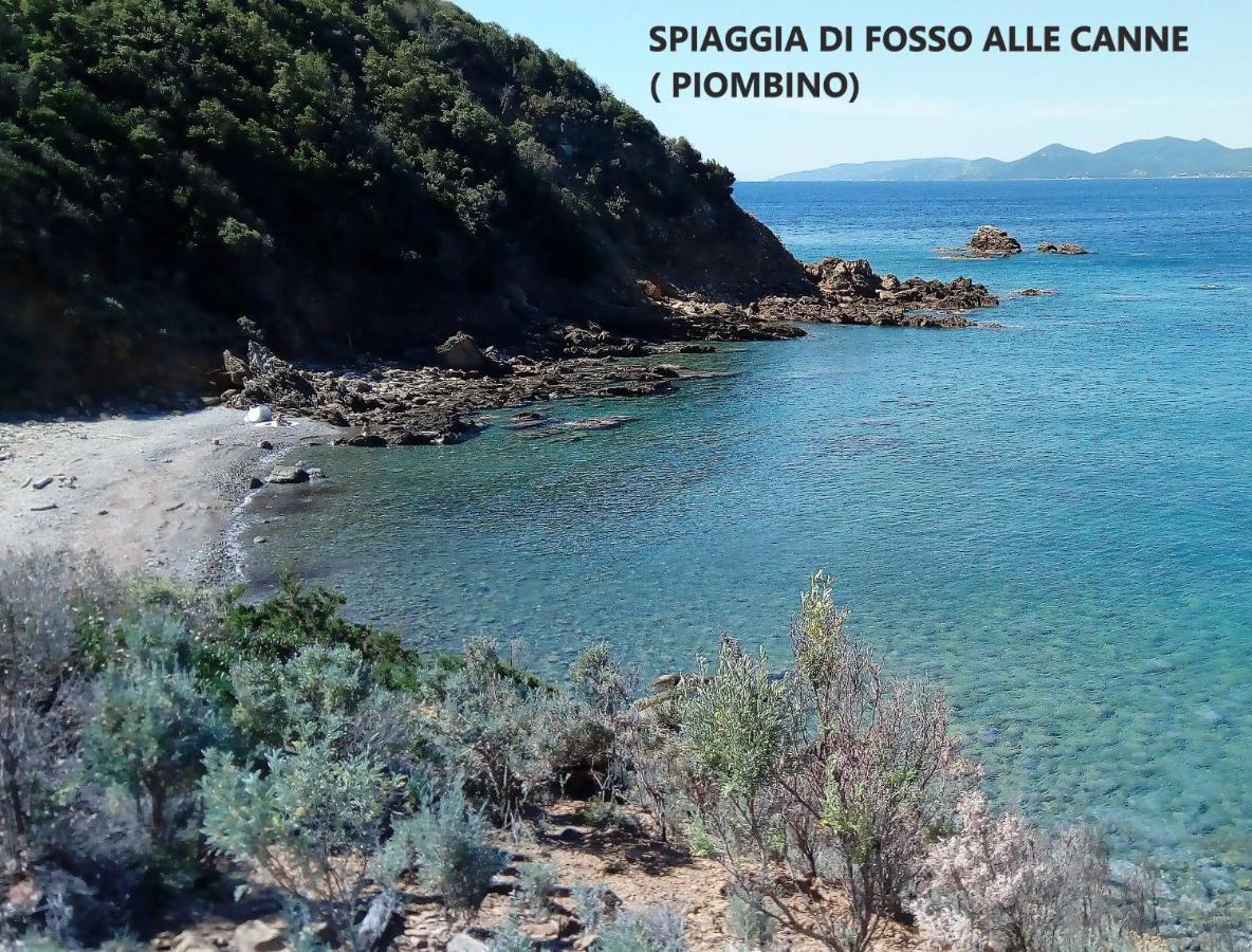 Spazio-Confort-Fitness Piombino Exteriér fotografie