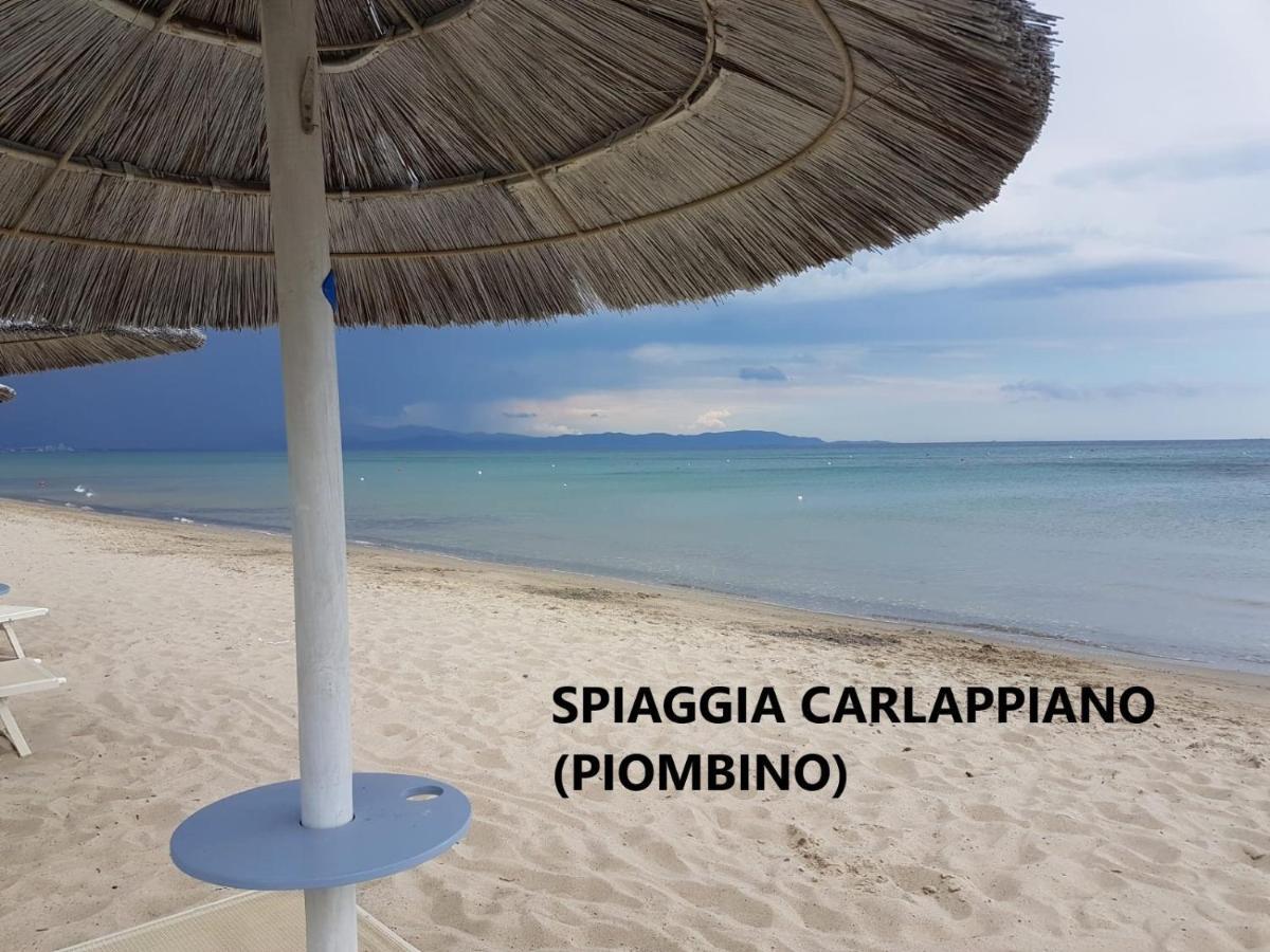 Spazio-Confort-Fitness Piombino Exteriér fotografie